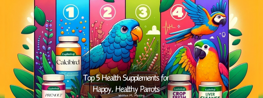 Top 5 Health Supplements for Happy, Healthy Parrots