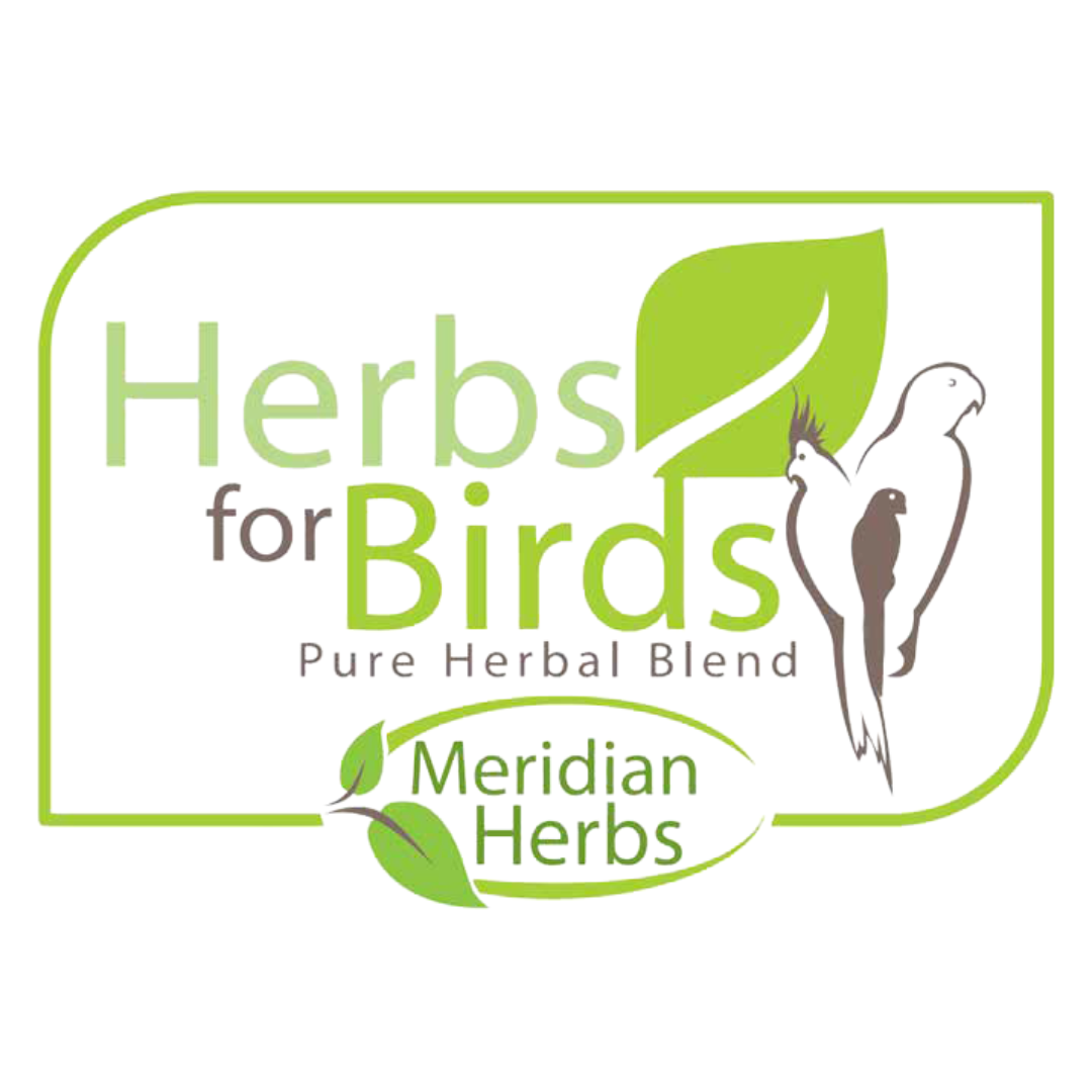 Herbs for Birds