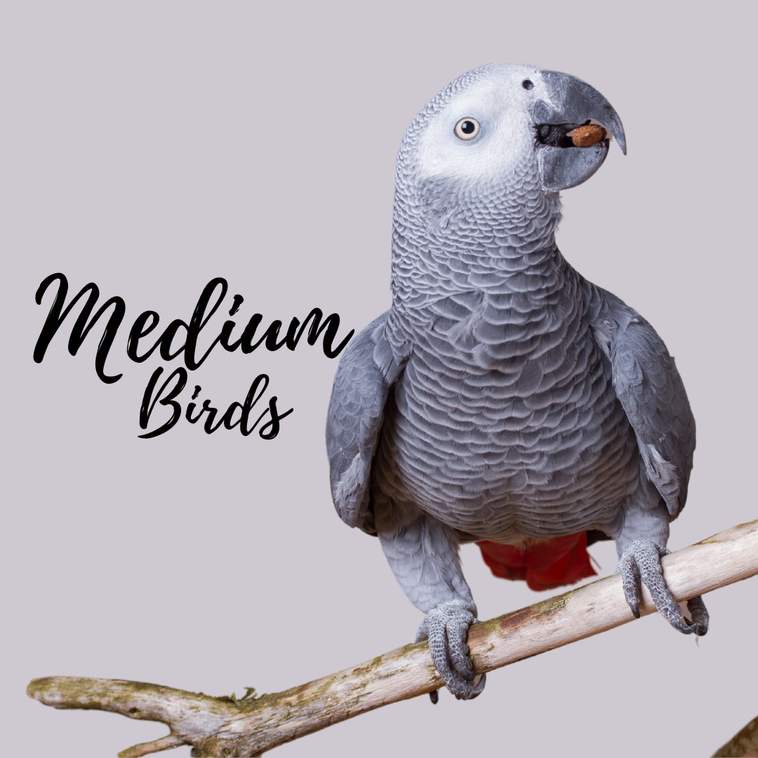 Medium Birds
