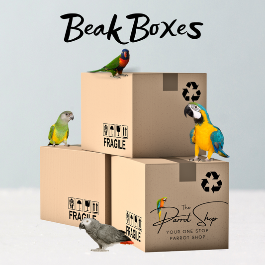 Beak Boxes