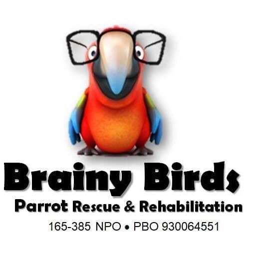 Brainy Birds - Parrot Rescue and Rehabilitation