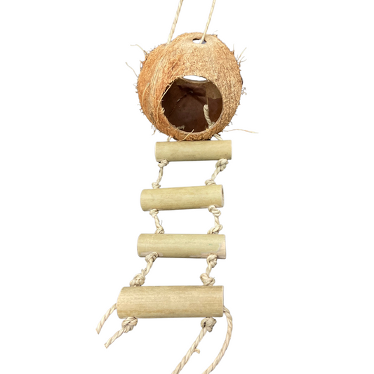 Coconut Hut Ladder